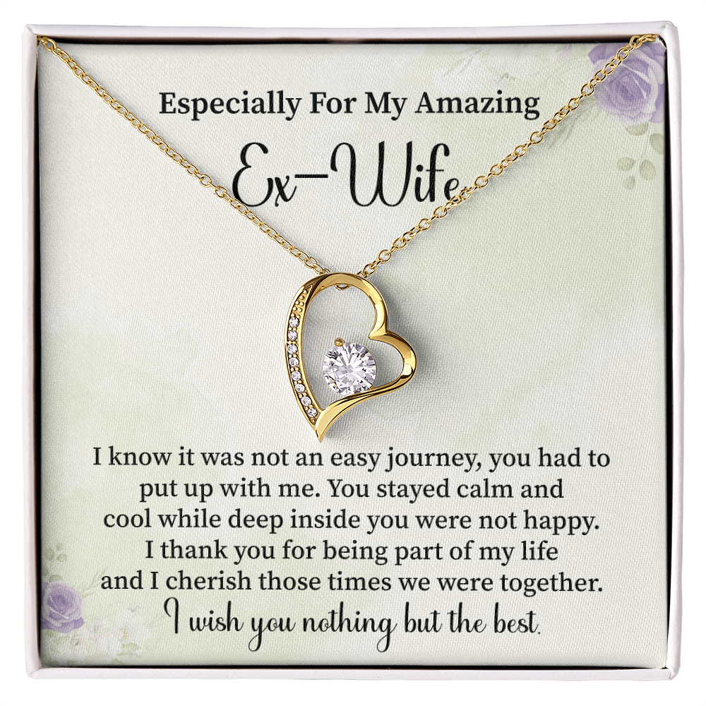 Especially For My Amazing Ex-wife Necklace Gift.