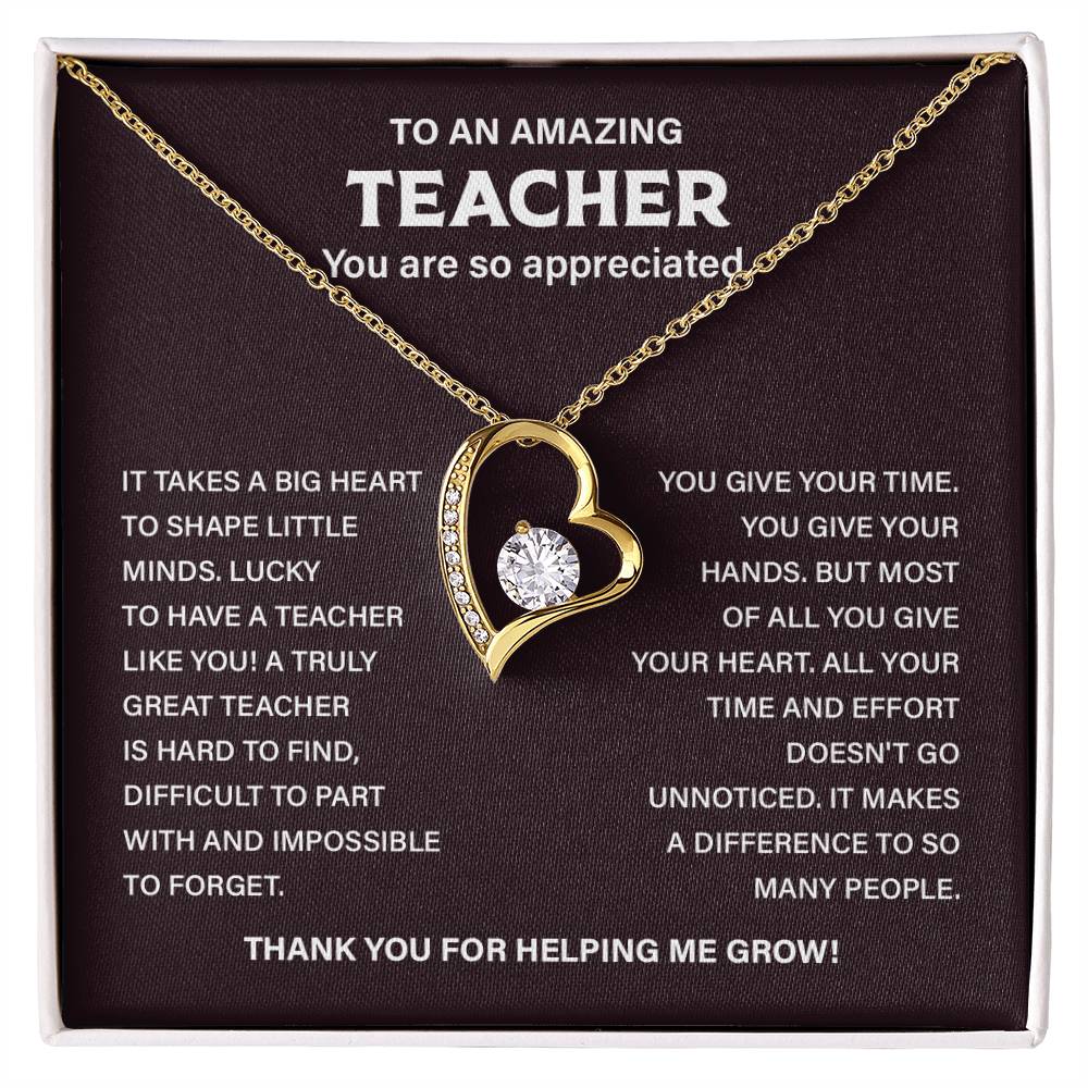 ΤΟ ΑΝ AMAZING TEACHER You are so appreciated.