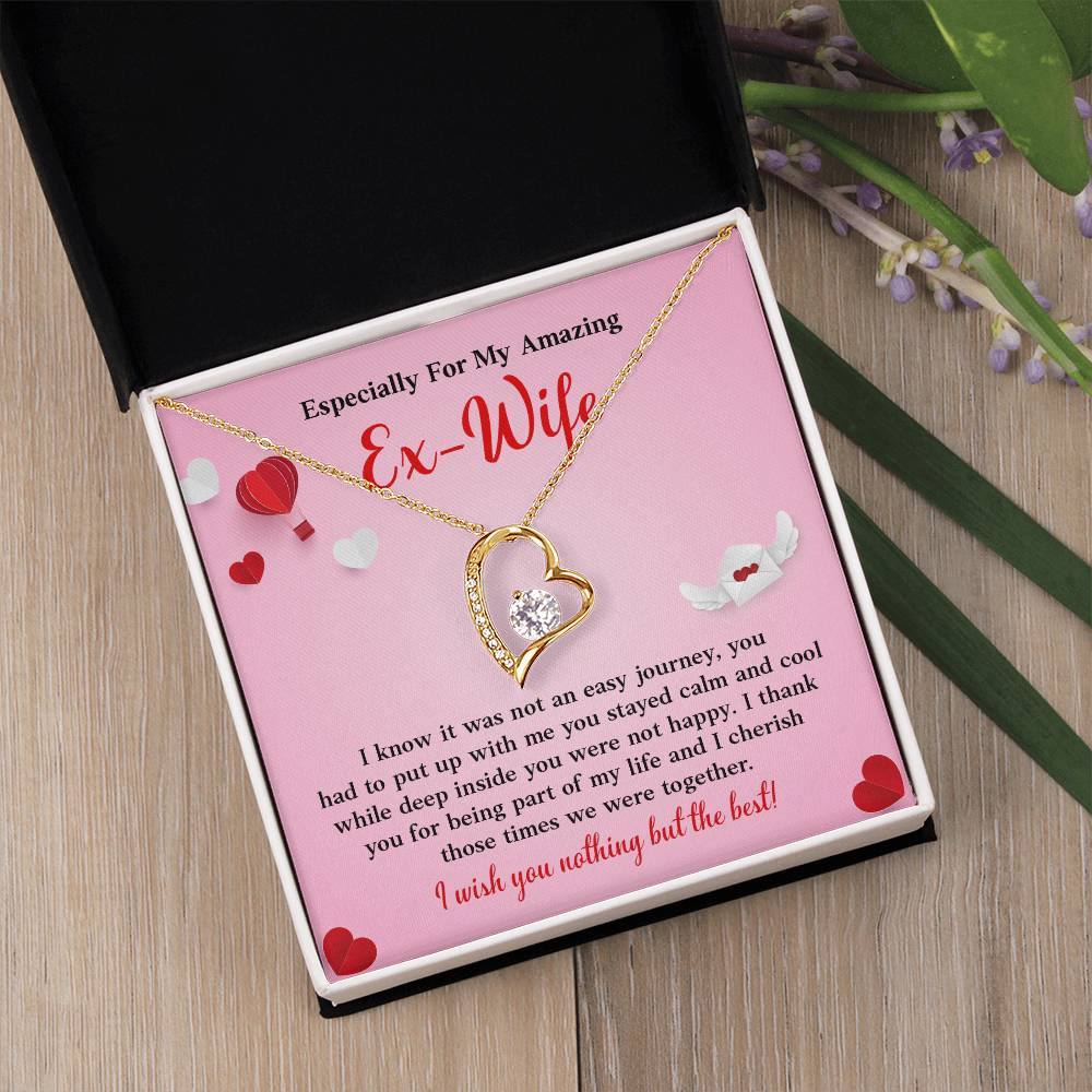 Especially For My Amazing Ex-wife, Necklace Gift Sentimental Ex-wife Jewelry Thank You Necklace Gift Necklace With Emotional Message Meaningful Jewelry For Ex-wife Memories Together Necklace