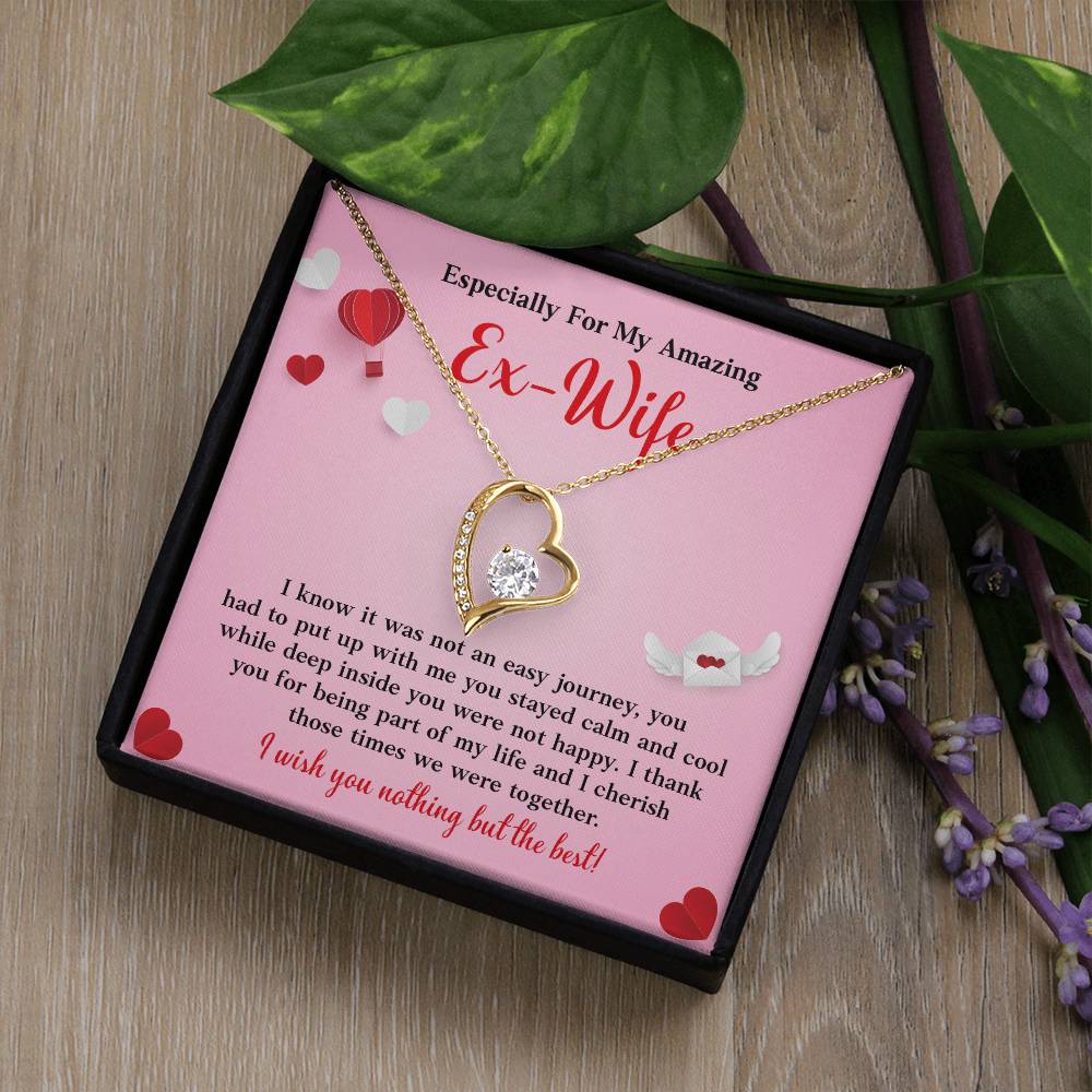 Especially For My Amazing Ex-wife, Necklace Gift Sentimental Ex-wife Jewelry Thank You Necklace Gift Necklace With Emotional Message Meaningful Jewelry For Ex-wife Memories Together Necklace