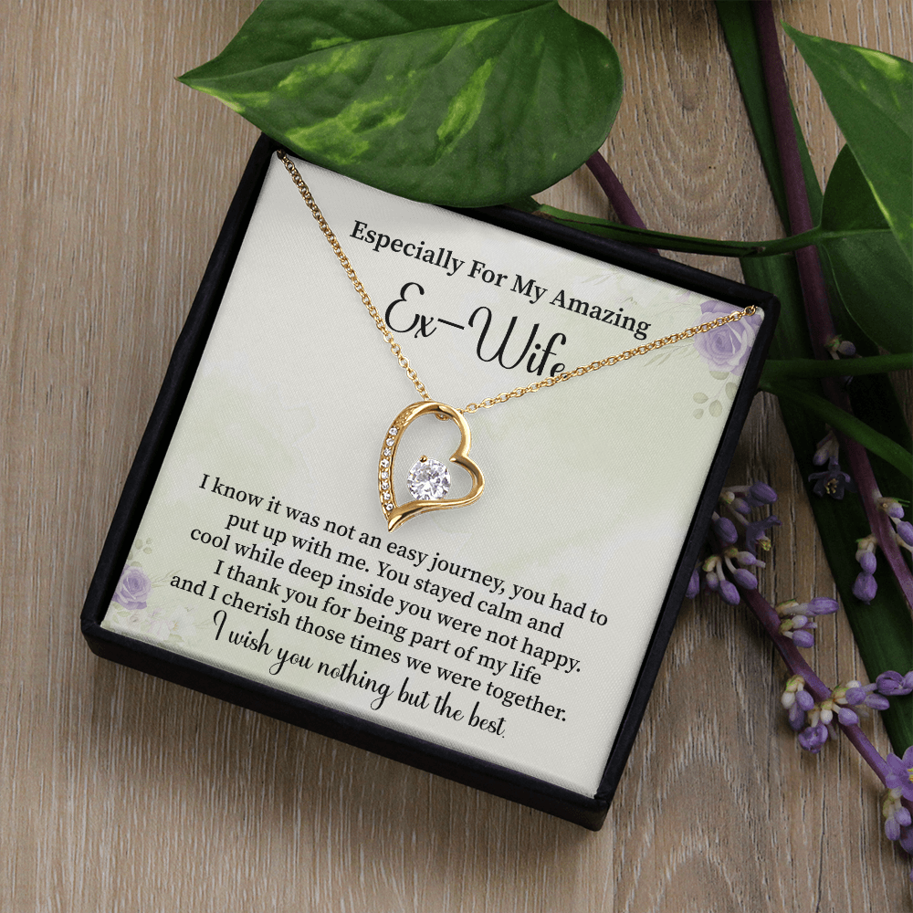Especially For My Amazing Ex-wife Necklace Gift.