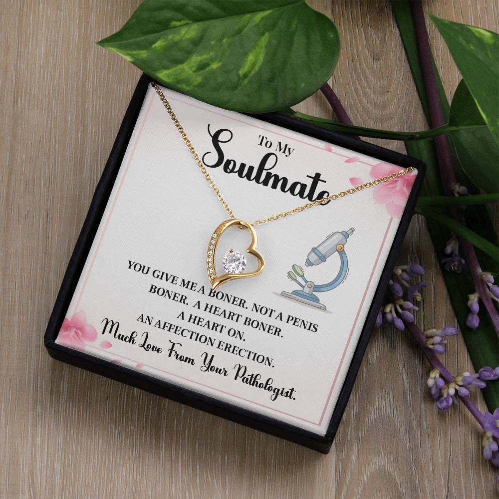 Funny Soulmate Necklace Gift from Pathologist – Gift Box