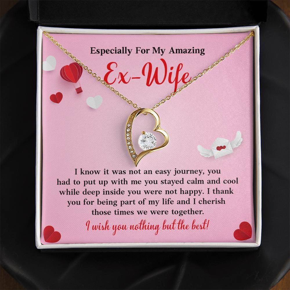 Especially For My Amazing Ex-wife, Necklace Gift Sentimental Ex-wife Jewelry Thank You Necklace Gift Necklace With Emotional Message Meaningful Jewelry For Ex-wife Memories Together Necklace