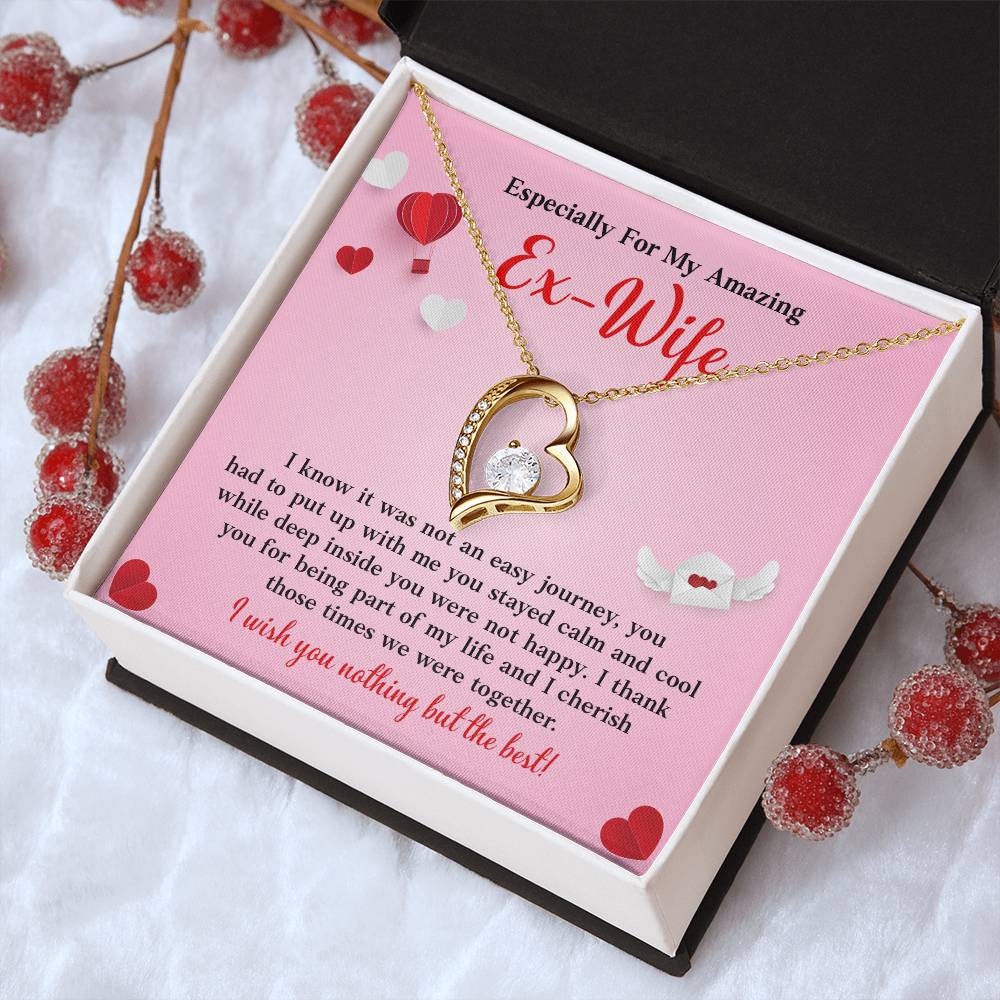 Especially For My Amazing Ex-wife, Necklace Gift Sentimental Ex-wife Jewelry Thank You Necklace Gift Necklace With Emotional Message Meaningful Jewelry For Ex-wife Memories Together Necklace