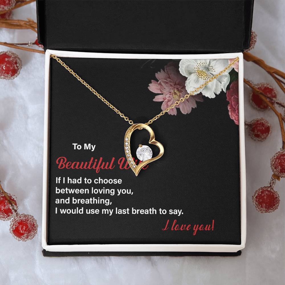 Wife Necklace Gift from Husband – Last Breath Quote