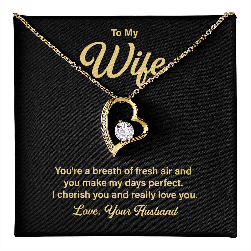 Anniversary Necklace Gift for Wife from Husband – Message Card