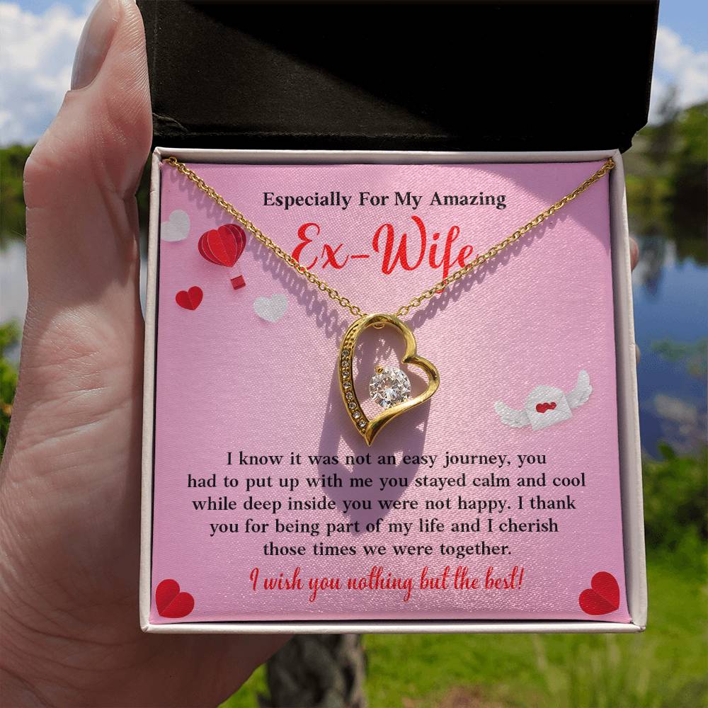 Especially For My Amazing Ex-wife, Necklace Gift Sentimental Ex-wife Jewelry Thank You Necklace Gift Necklace With Emotional Message Meaningful Jewelry For Ex-wife Memories Together Necklace