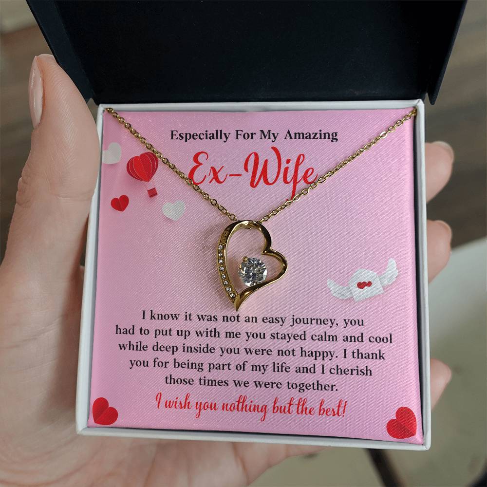 Especially For My Amazing Ex-wife, Necklace Gift Sentimental Ex-wife Jewelry Thank You Necklace Gift Necklace With Emotional Message Meaningful Jewelry For Ex-wife Memories Together Necklace