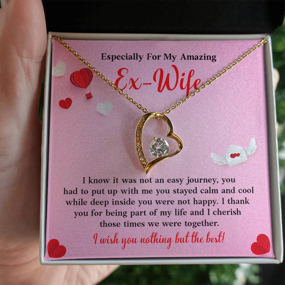 Especially For My Amazing Ex-wife, Necklace Gift Sentimental Ex-wife Jewelry Thank You Necklace Gift Necklace With Emotional Message Meaningful Jewelry For Ex-wife Memories Together Necklace