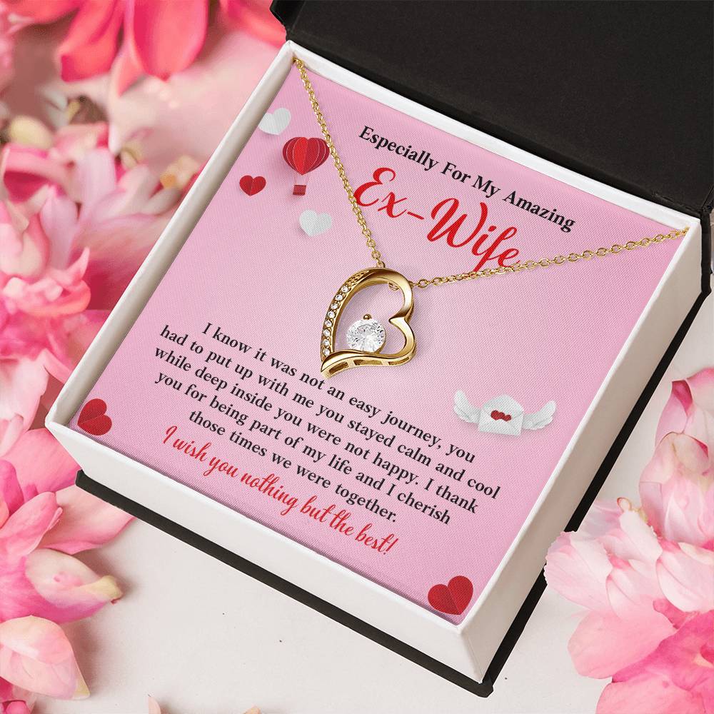 Especially For My Amazing Ex-wife, Necklace Gift Sentimental Ex-wife Jewelry Thank You Necklace Gift Necklace With Emotional Message Meaningful Jewelry For Ex-wife Memories Together Necklace