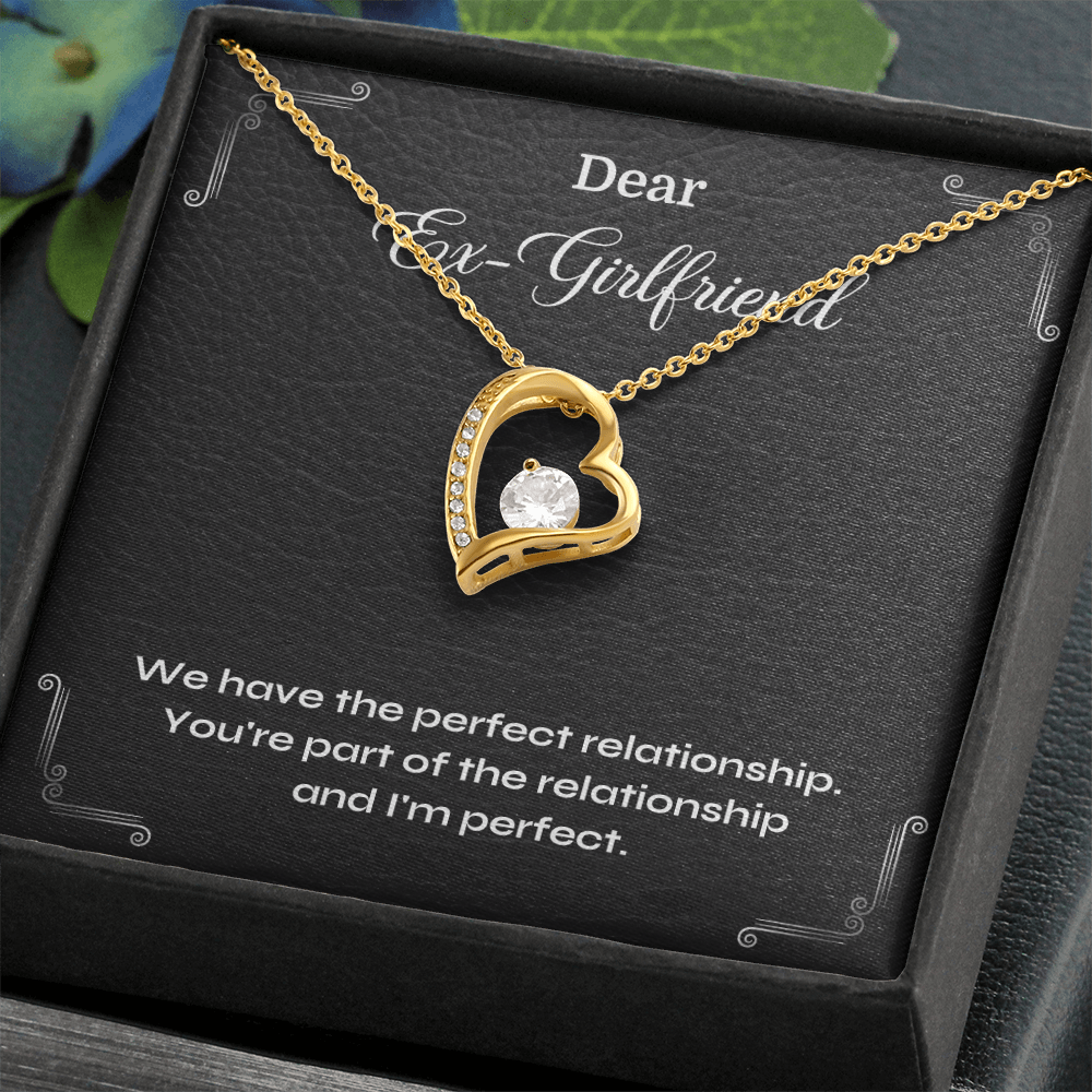 Funny Ex-Girlfriend Gift – Perfect Relationship Joke