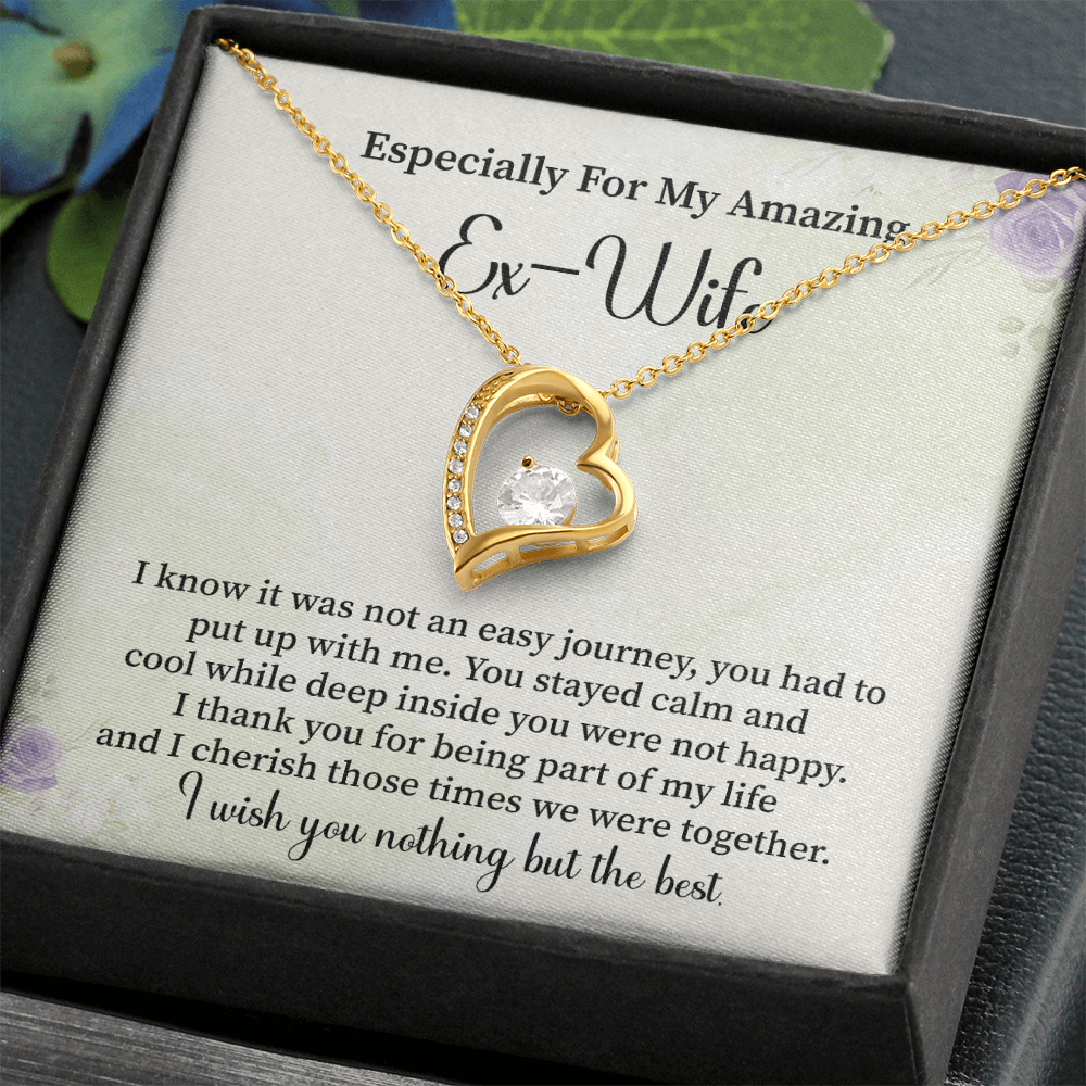 Especially For My Amazing Ex-wife Necklace Gift.