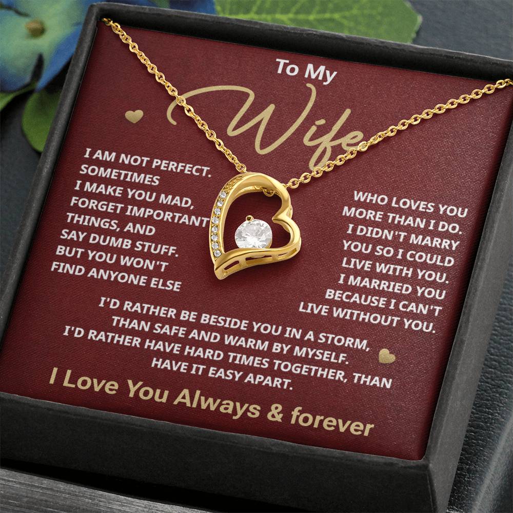 To my Wife