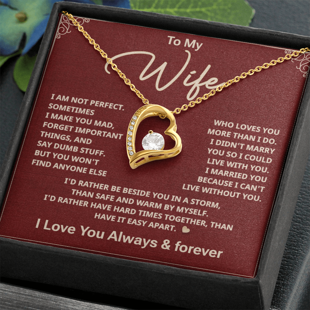 To my Wife