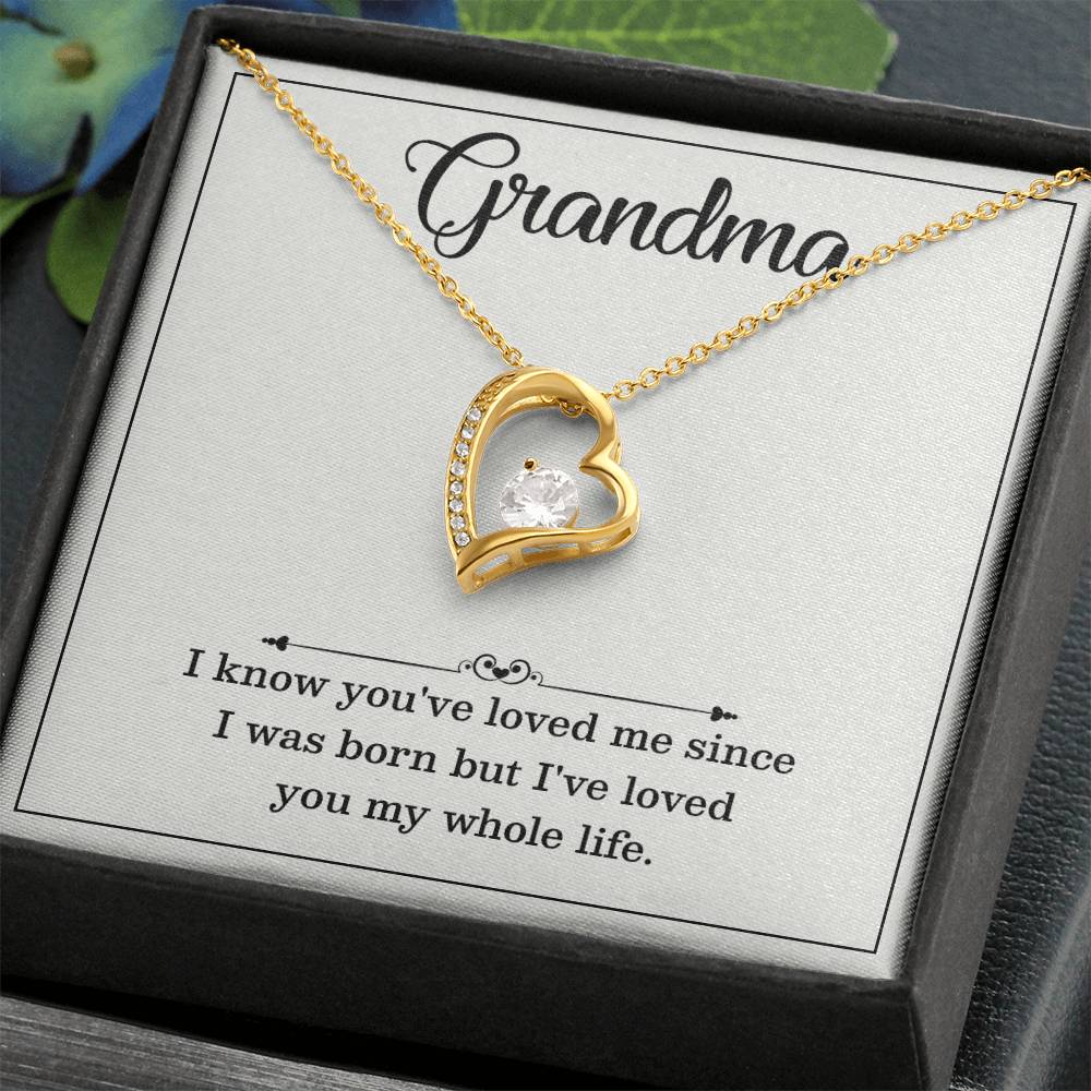Grandma Necklace Gift – Loved You My Whole Life Message Card
