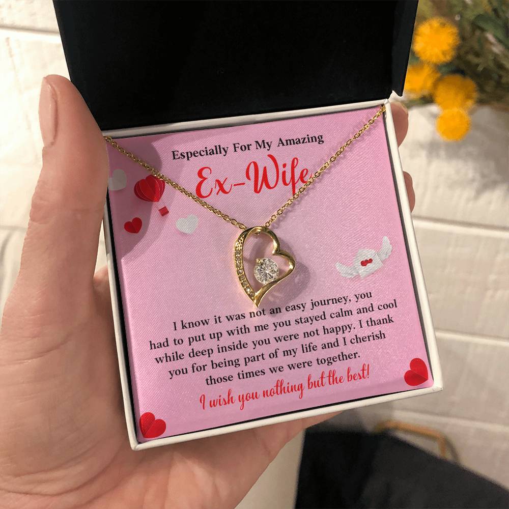 Especially For My Amazing Ex-wife, Necklace Gift Sentimental Ex-wife Jewelry Thank You Necklace Gift Necklace With Emotional Message Meaningful Jewelry For Ex-wife Memories Together Necklace