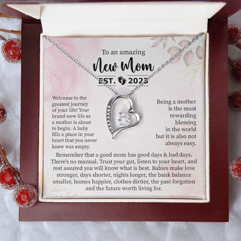 To an Amazing New Mom, Established 2023