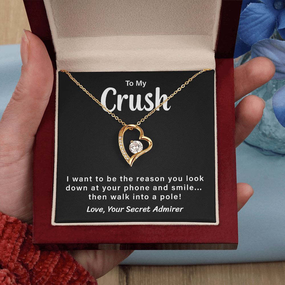 To My Crush Love, Your Secret Admirer