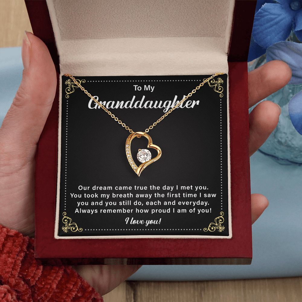 To My Granddaughter Our Dream Came True The Day I Met You