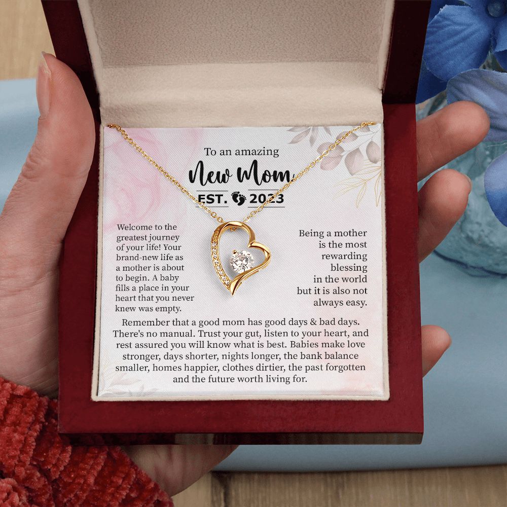 To an Amazing New Mom, Established 2023
