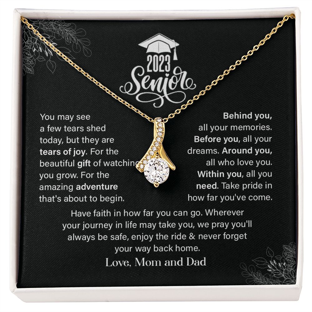 Senior 2023: Where a Few Tears Meet Triumph