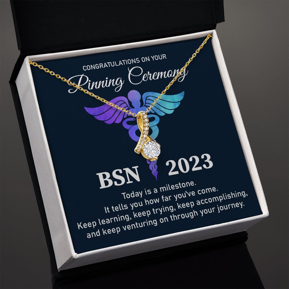 Bachelor's of Science in Nursing  (BSN) - 2023