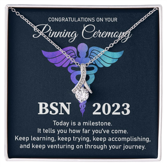 Bachelor's of Science in Nursing  (BSN) - 2023