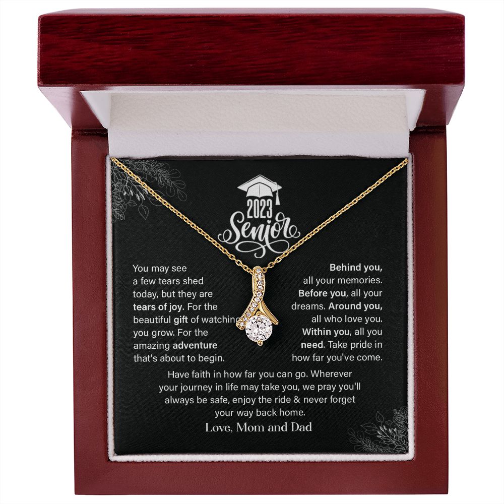 Senior 2023: Where a Few Tears Meet Triumph