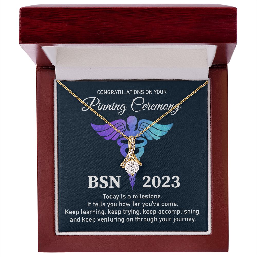 Bachelor's of Science in Nursing  (BSN) - 2023
