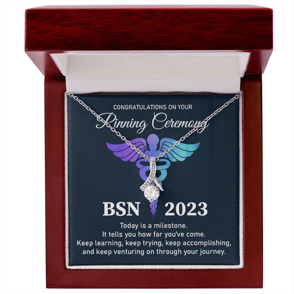 Bachelor's of Science in Nursing  (BSN) - 2023