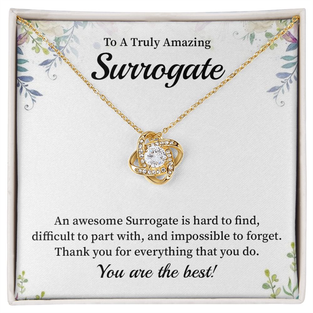 To A Truly Amazing Surrogate You Are The Best