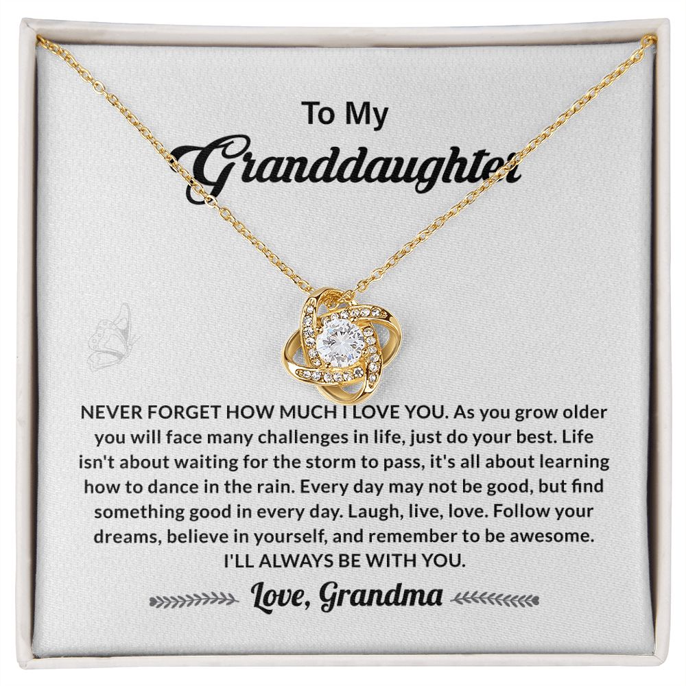 To My Granddaughter Never Forget How Much I Love You