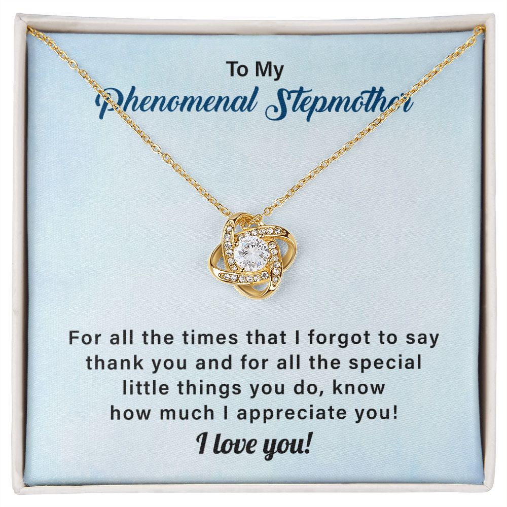 To My Phenomenal Stepmother For All The Time That I Forgot To Say Thank You, I Love You