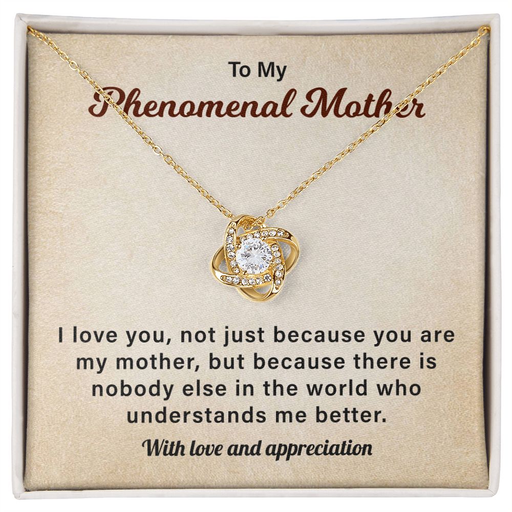 To My Phenomenal mother I love Yu, Not Just because You Are My Mother.