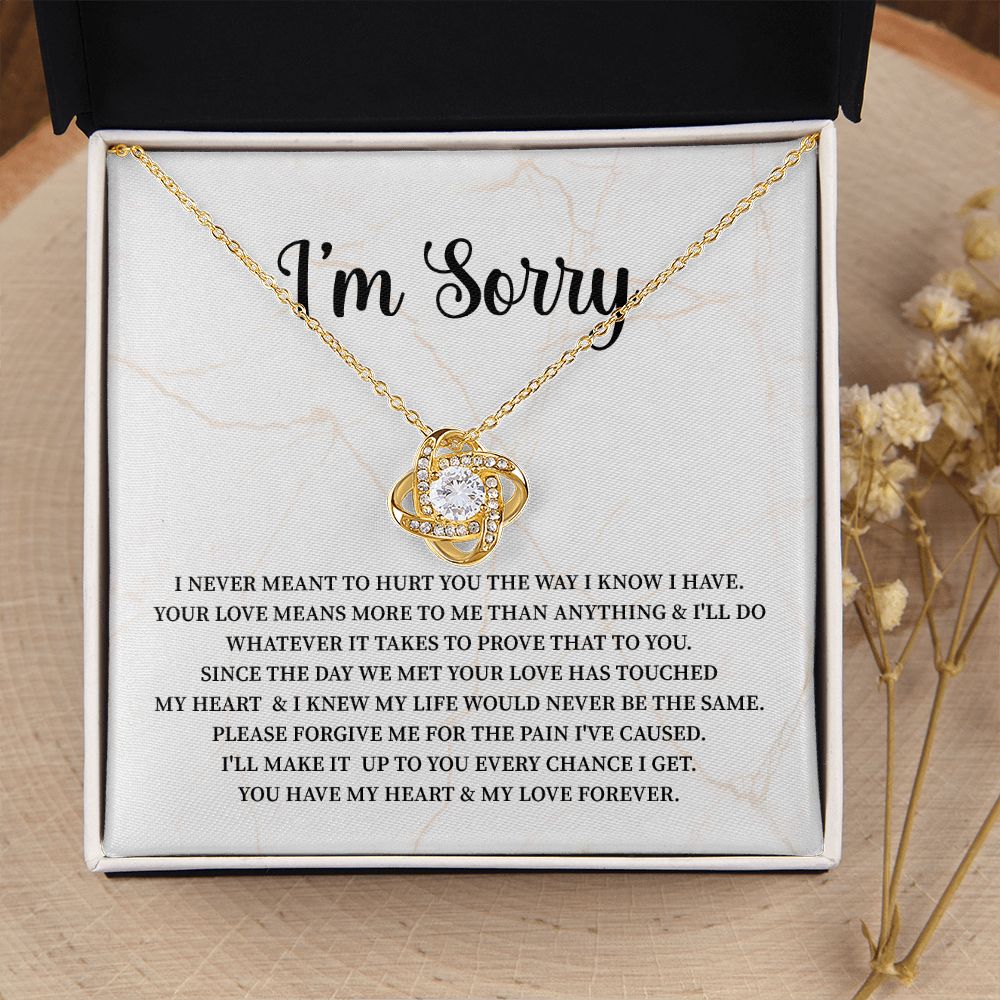 I Am Sorry From Husband or Boyfriend