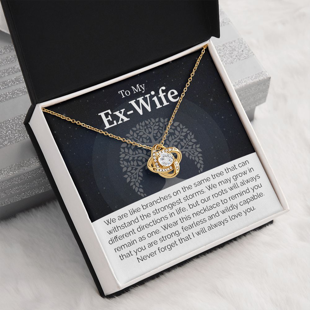 To My Ex-Wife: Love Transcends Labels – From Your Former Husband