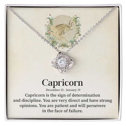 Capricorn December 22, January 19