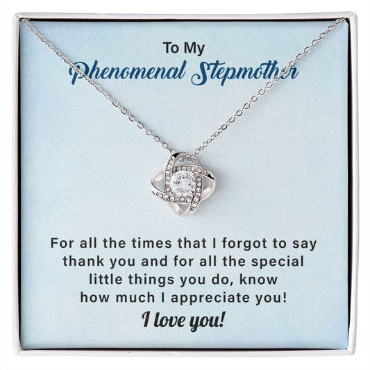 To My Phenomenal Stepmother For All The Time That I Forgot To Say Thank You, I Love You
