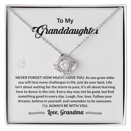 To My Granddaughter Never Forget How Much I Love You