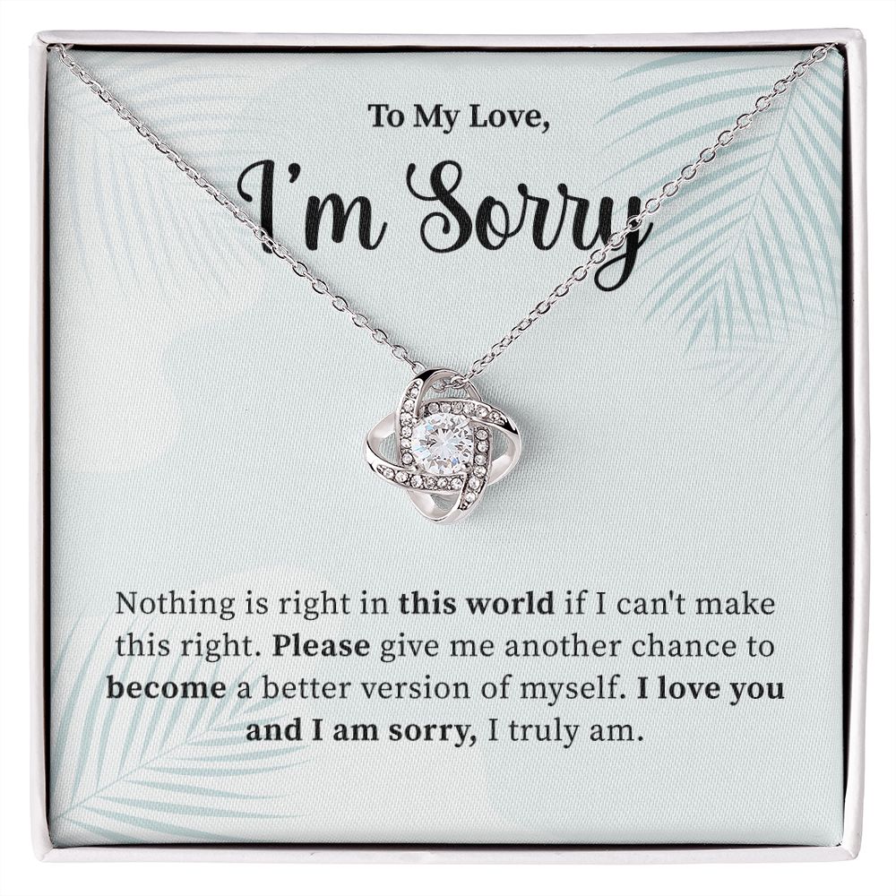To My Love, I'm Truly Sorry
