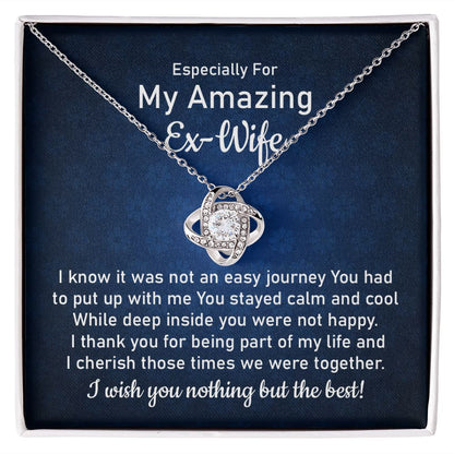 Especially For My Amazing Ex-Wife From Husband Eternal Bond of Friendship: Timeless Silver Necklace for a Cherished Ex-Wife