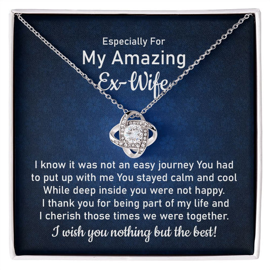 Especially For My Amazing Ex-Wife From Husband Eternal Bond of Friendship: Timeless Silver Necklace for a Cherished Ex-Wife