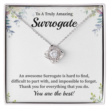 To A Truly Amazing Surrogate You Are The Best