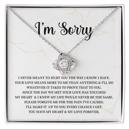 I Am Sorry From Husband or Boyfriend