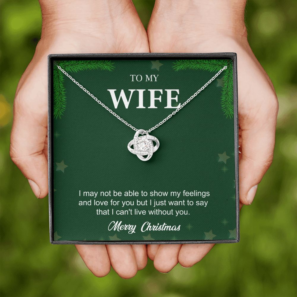To My Wife From Husband (Christmas Event)