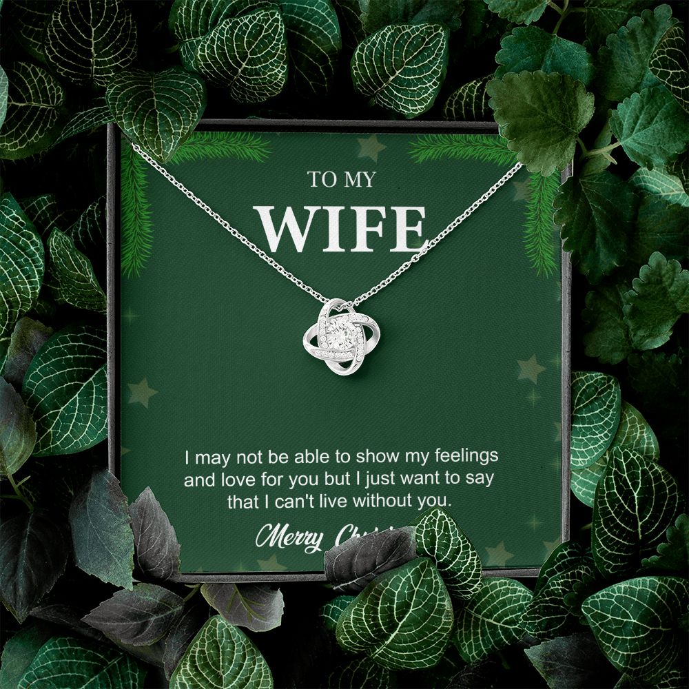 To My Wife From Husband (Christmas Event)