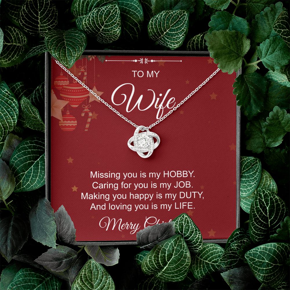 To My Wife From Husband (Christmas Event)