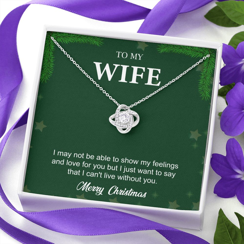 To My Wife From Husband (Christmas Event)