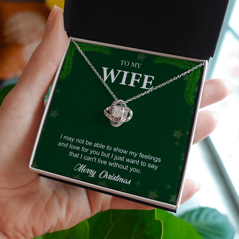 To My Wife From Husband (Christmas Event)