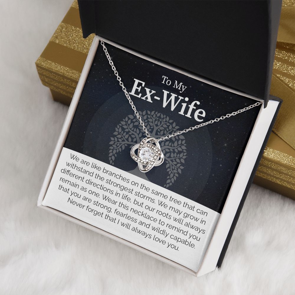To My Ex-Wife: Love Transcends Labels – From Your Former Husband